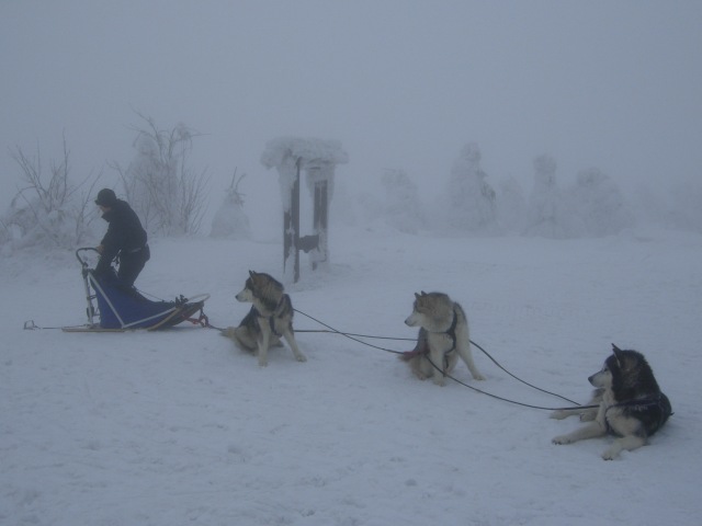 Velka Destna